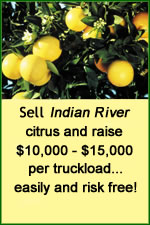 Florida Citrus Fundraising